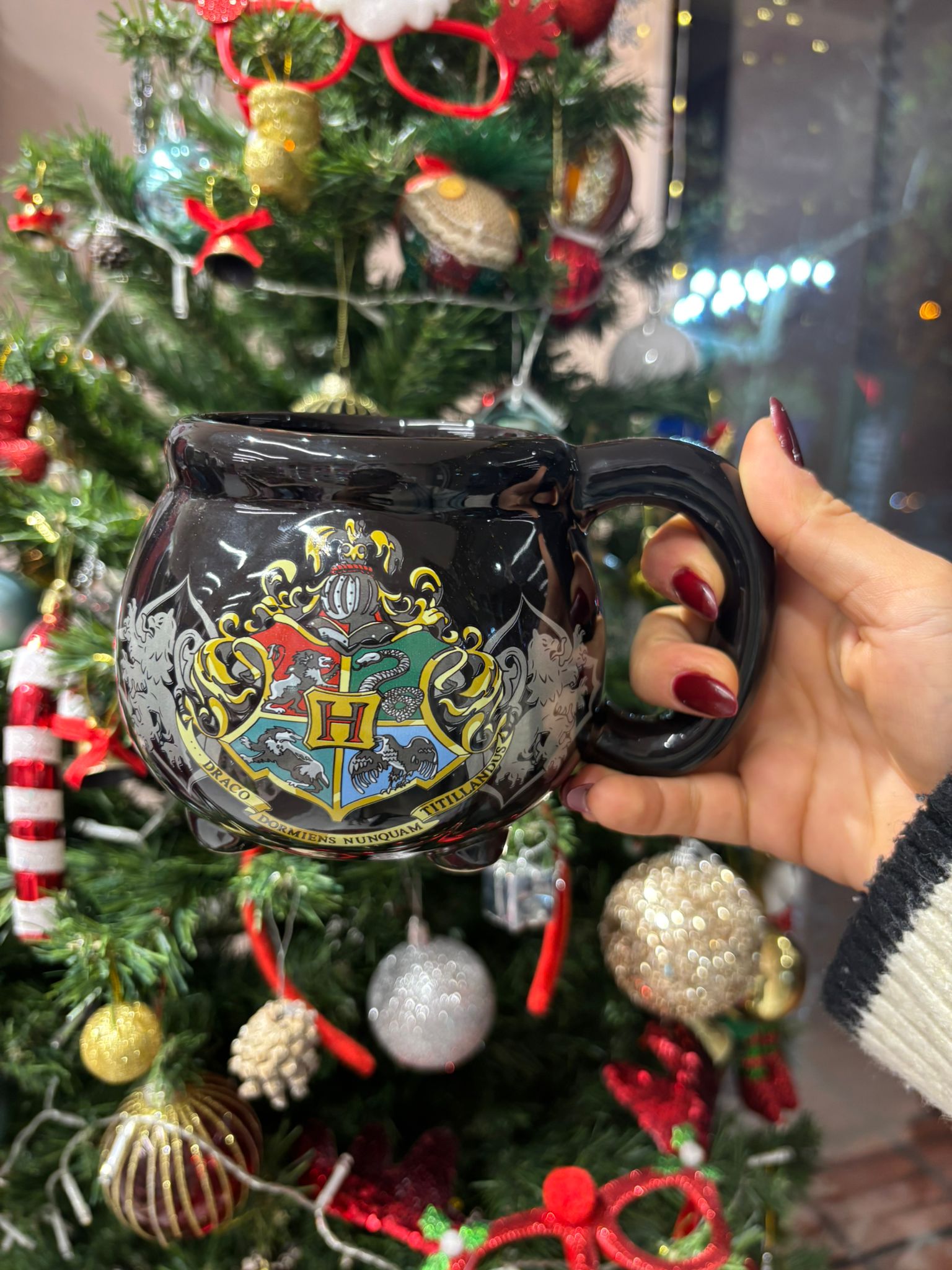 Harry Potter Kupa