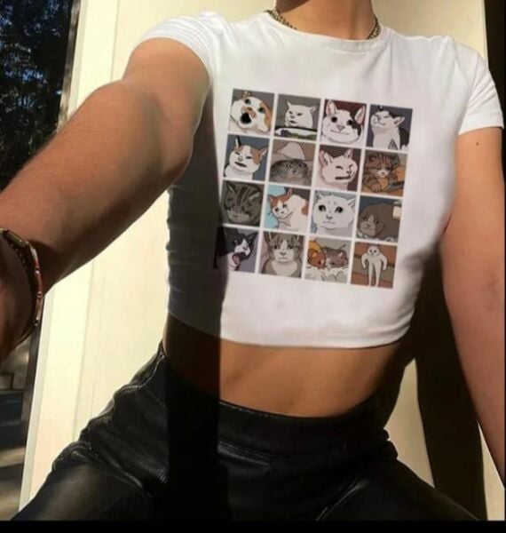 Cat Memes Collage Beyaz Crop