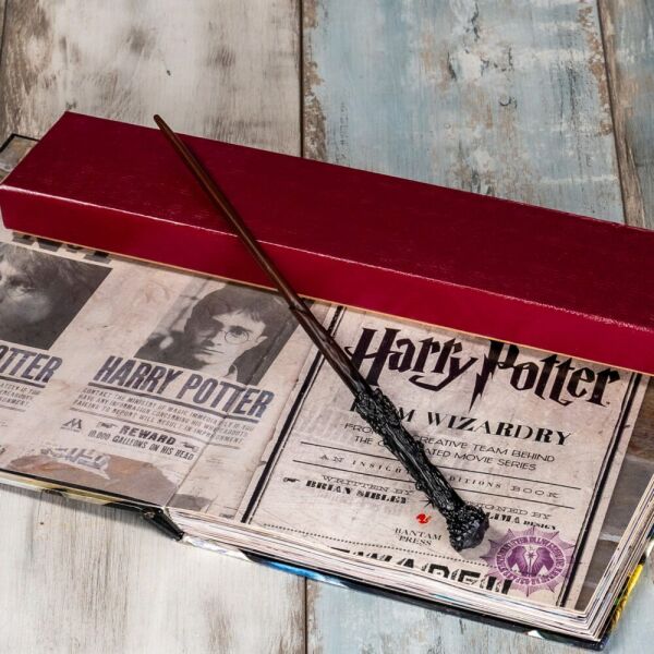 Harry Potter Asası